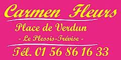 Logo_Carmen